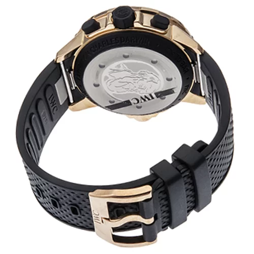 IWC IW379503 時計コピー(2/5)