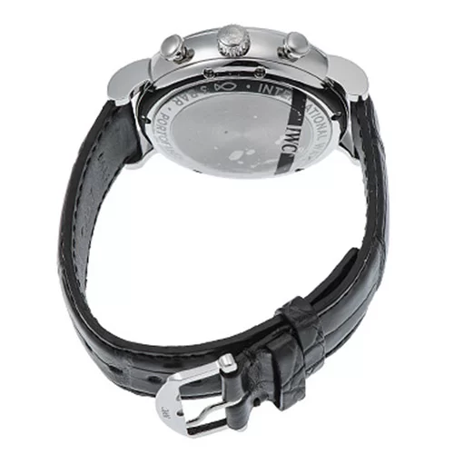 IWC IW391029 時計コピー(2/3)