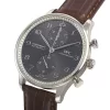 IWC IW371473 時計コピー(5/5)